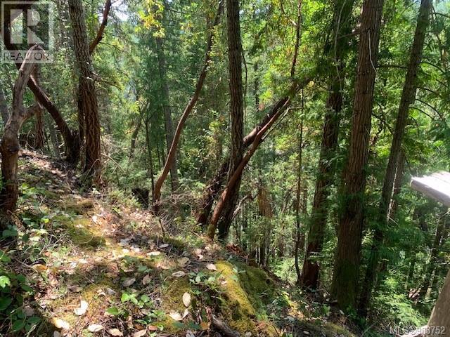 Vacant Land for Sale in Thetis Island – 409 Pilkey Point Rd, Thetis Island - Image 39