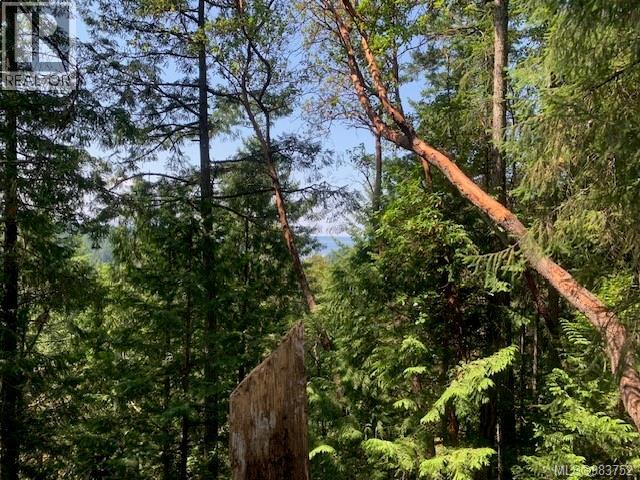 Vacant Land for Sale in Thetis Island – 409 Pilkey Point Rd, Thetis Island - Image 37