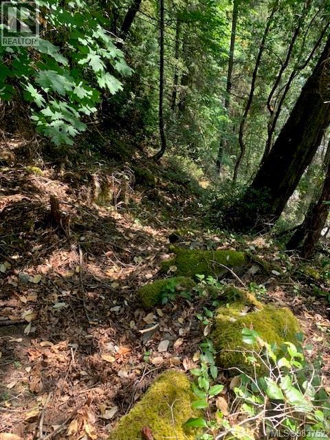Vacant Land for Sale in Thetis Island – 409 Pilkey Point Rd, Thetis Island - Image 50