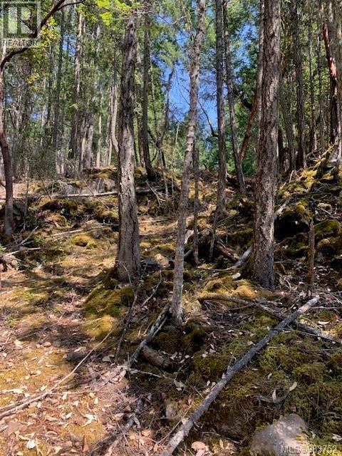 Vacant Land for Sale in Thetis Island – 409 Pilkey Point Rd, Thetis Island - Image 45