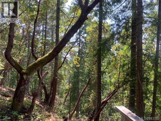 Vacant Land for Sale in Thetis Island – 409 Pilkey Point Rd, Thetis Island - Image 38