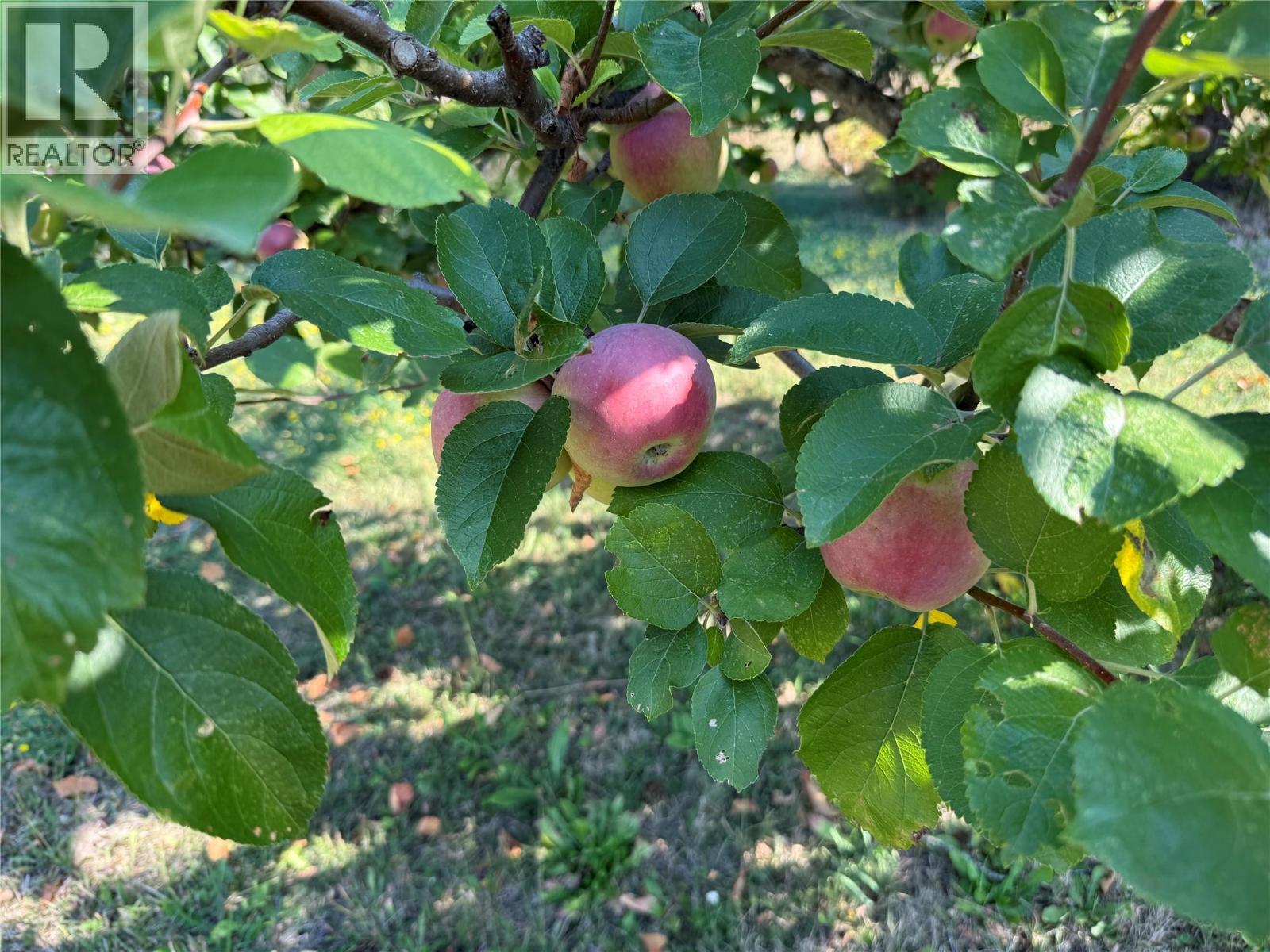 1403 Notch Hill Road, Sorrento