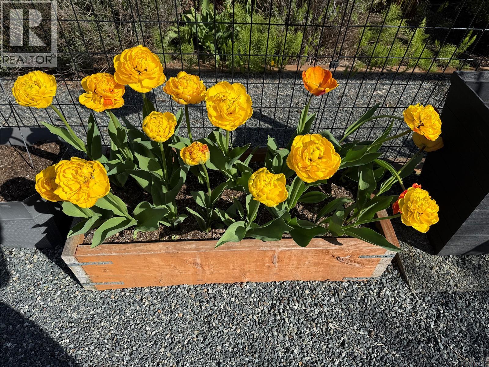 354 Stannard Ave, Victoria