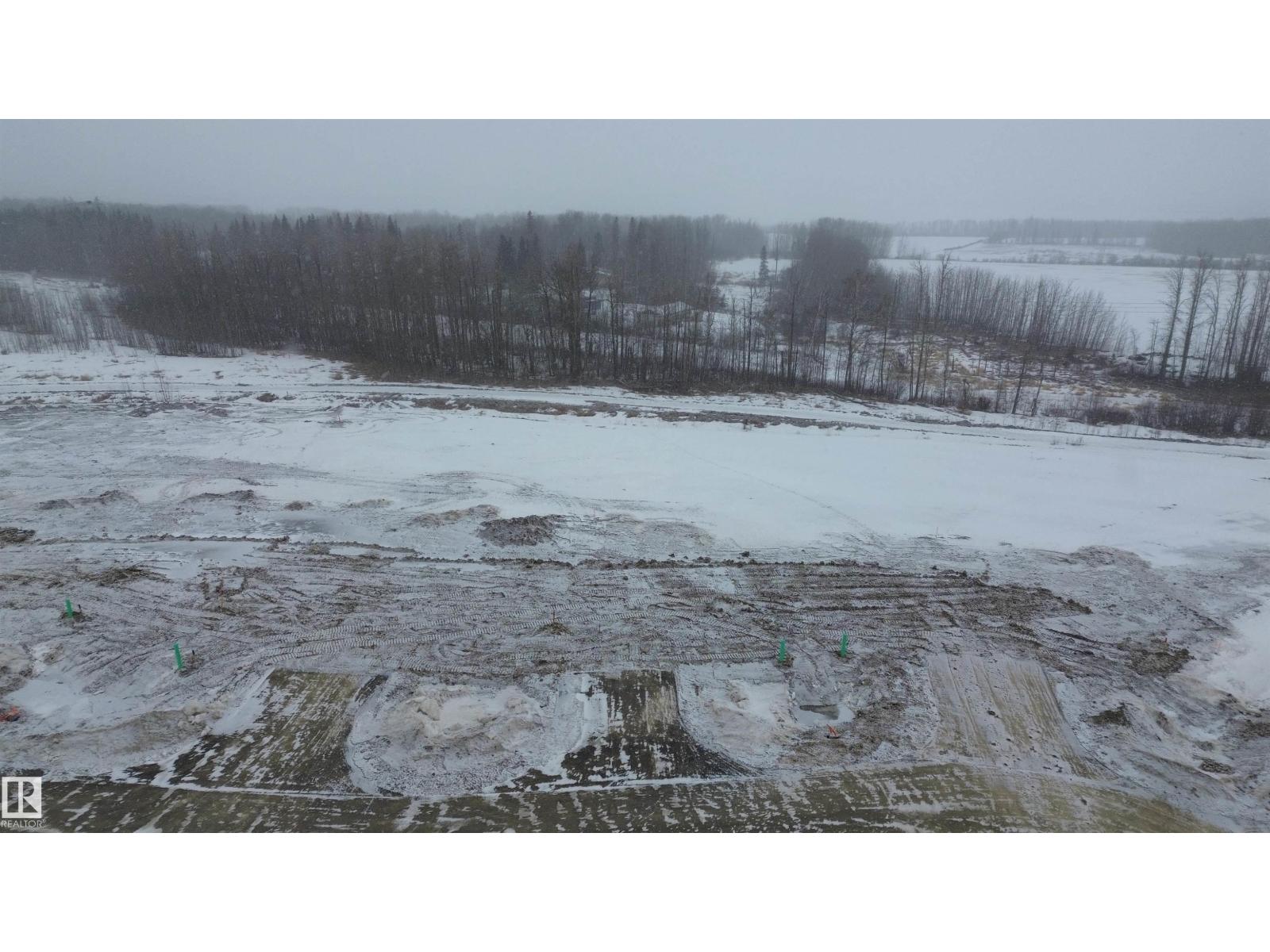 20 26131 Twp Rd 532A, Rural Parkland County