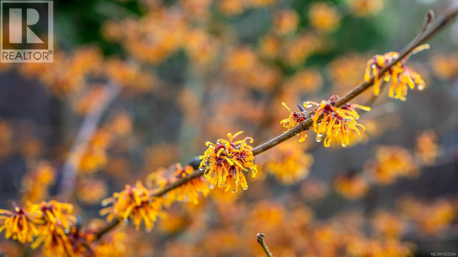 3767 MAPLE LANE - 54