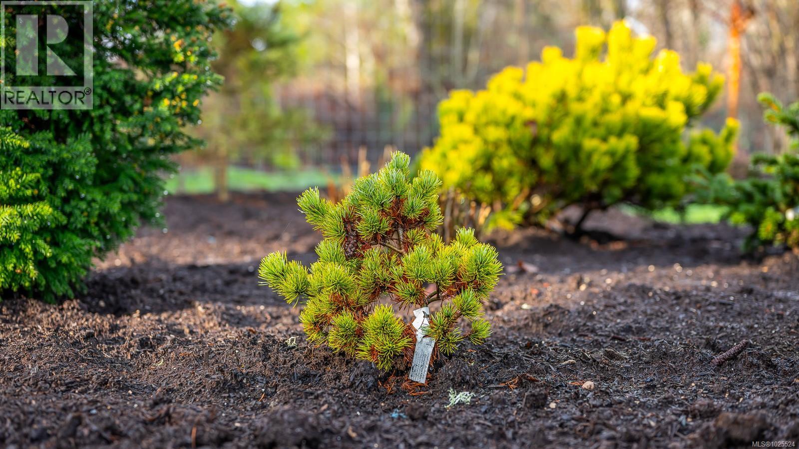 3767 MAPLE LANE - 57