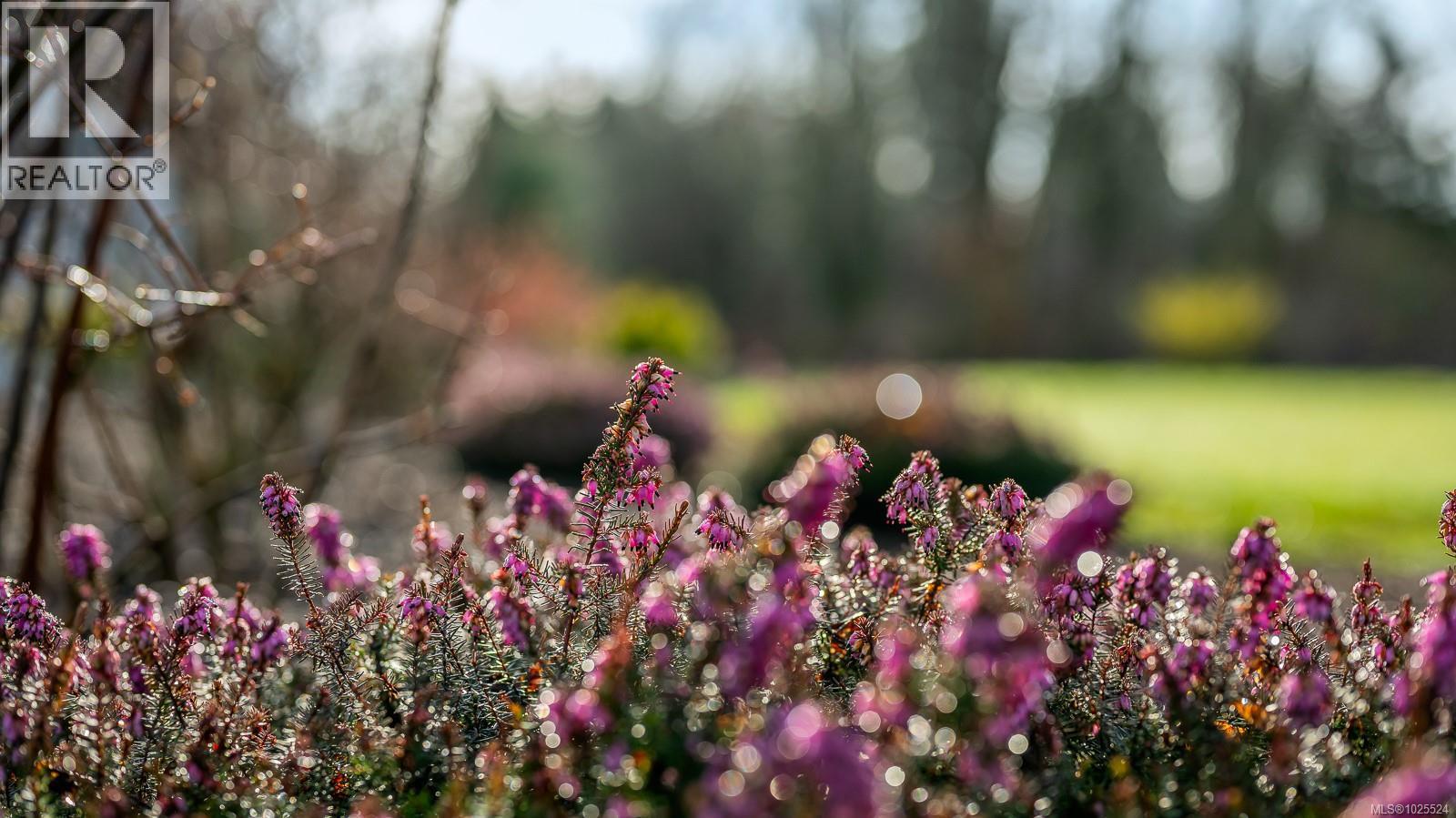 3767 MAPLE LANE - 60