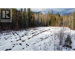 801 Bobbie Burns Road, Lumby, BC V0E2G4 Photo 9