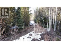 801 Bobbie Burns Road, Lumby, BC V0E2G4 Photo 10