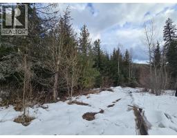 801 Bobbie Burns Road, Lumby, BC V0E2G4 Photo 7