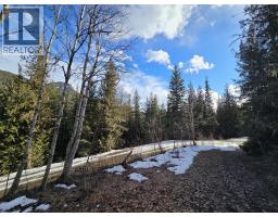801 Bobbie Burns Road, Lumby, BC V0E2G4 Photo 8