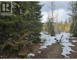 801 Bobbie Burns Road, Lumby, BC V0E2G4 Photo 12