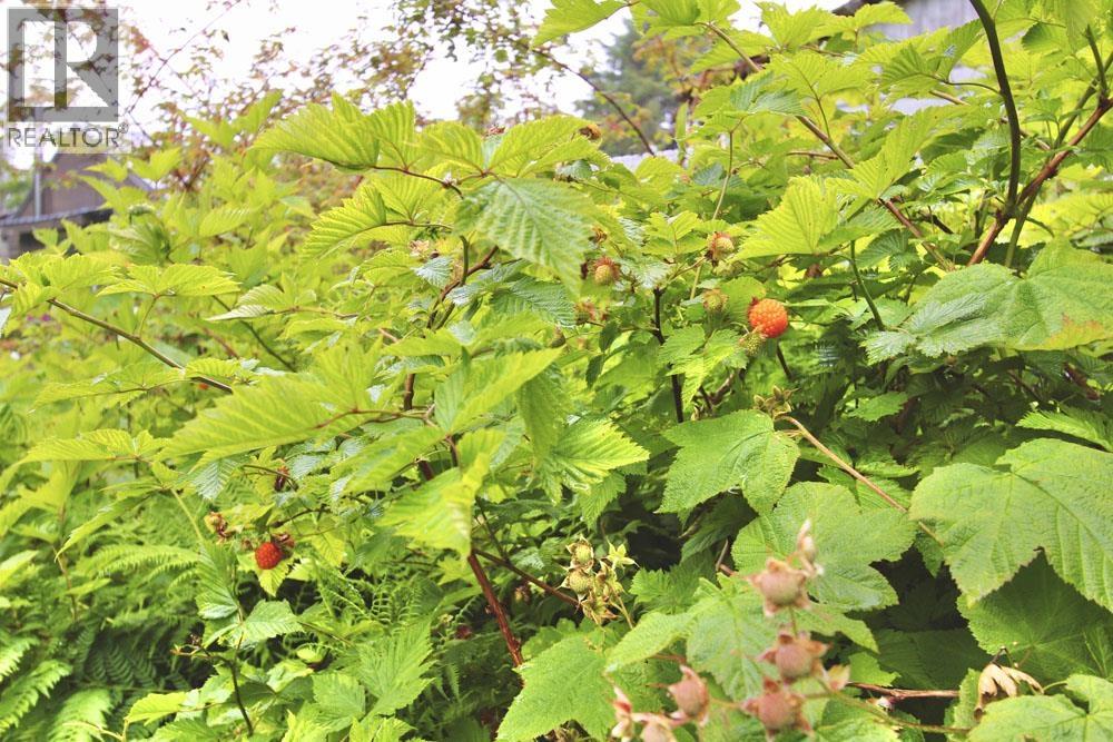 40 YAKOUN STREET - 30