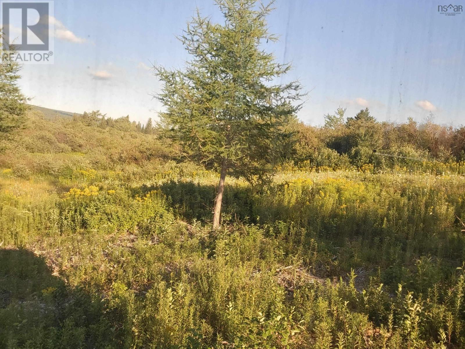 Property 4 of 4 of Lot 5 Barren Road