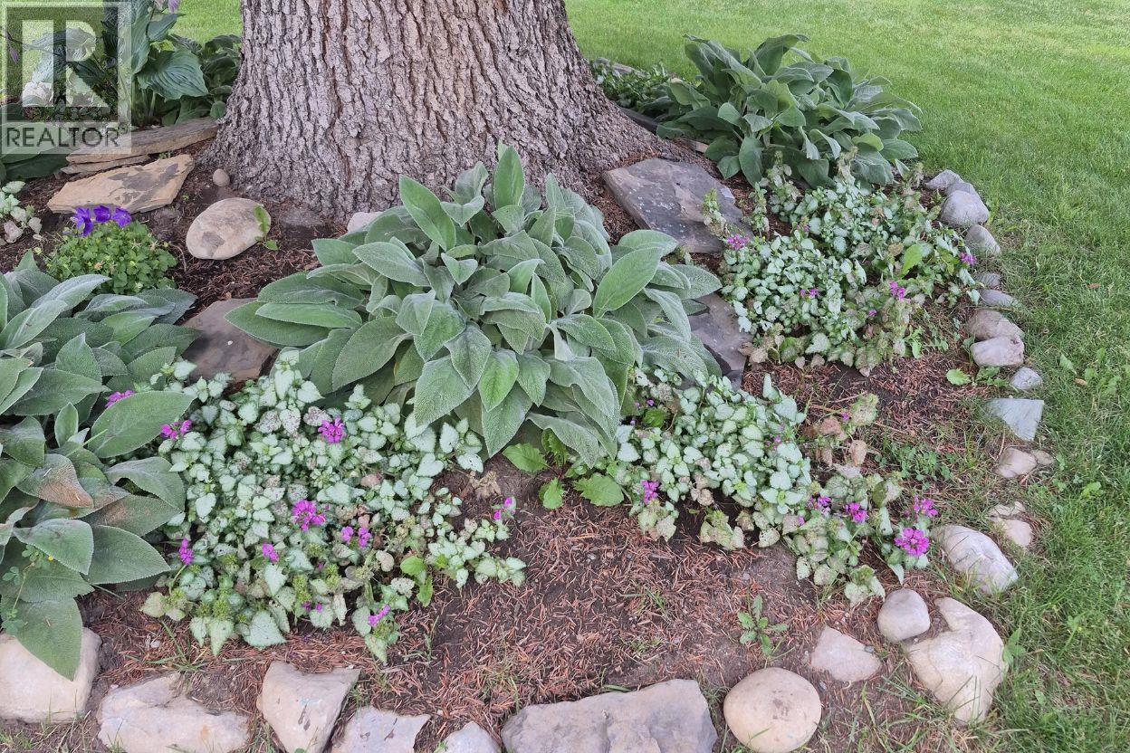 36 Mt Klauer Street, Fernie