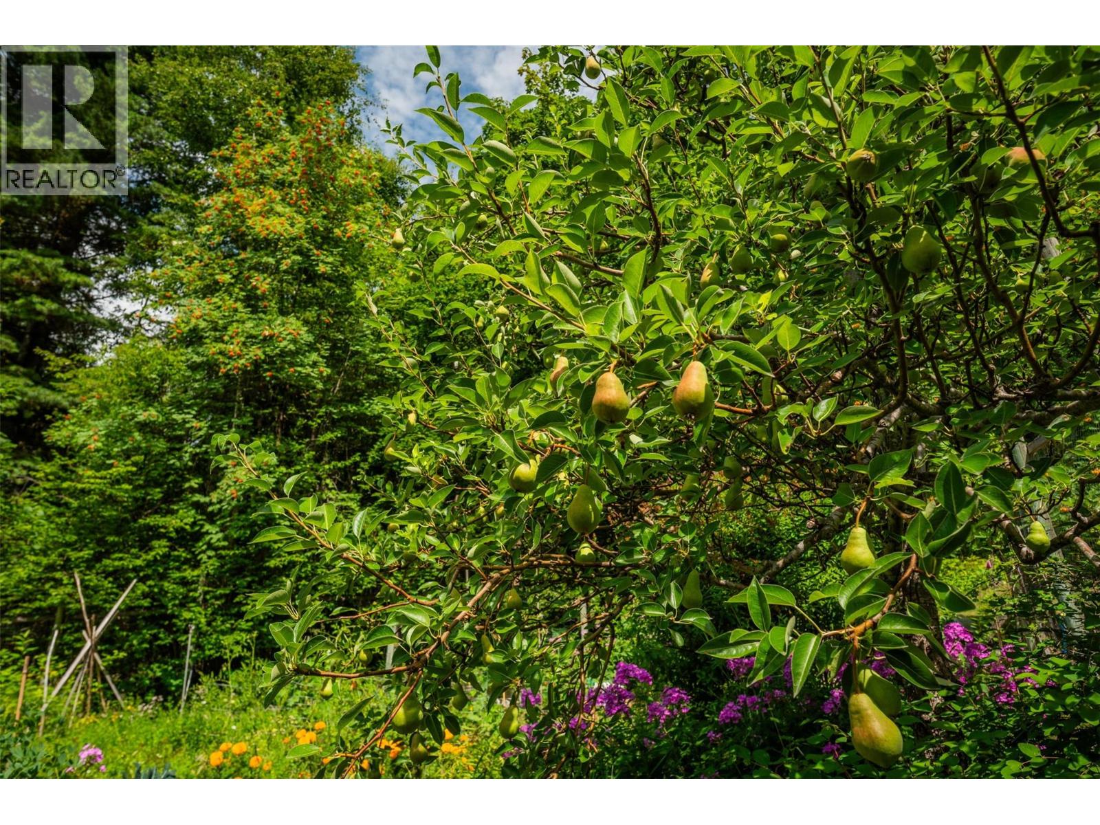 1506 Highway 31A, New Denver