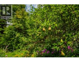1506 Highway 31a, New Denver, BC V0G1S0 Photo 37