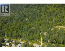 1506 Highway 31a, New Denver, BC V0G1S0 Photo 40