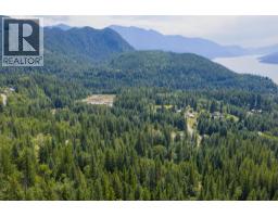 1506 Highway 31a, New Denver, BC V0G1S0 Photo 72