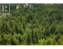 1506 Highway 31a, New Denver, BC V0G1S0 Photo 46