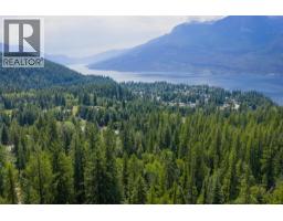 1506 Highway 31a, New Denver, BC V0G1S0 Photo 26