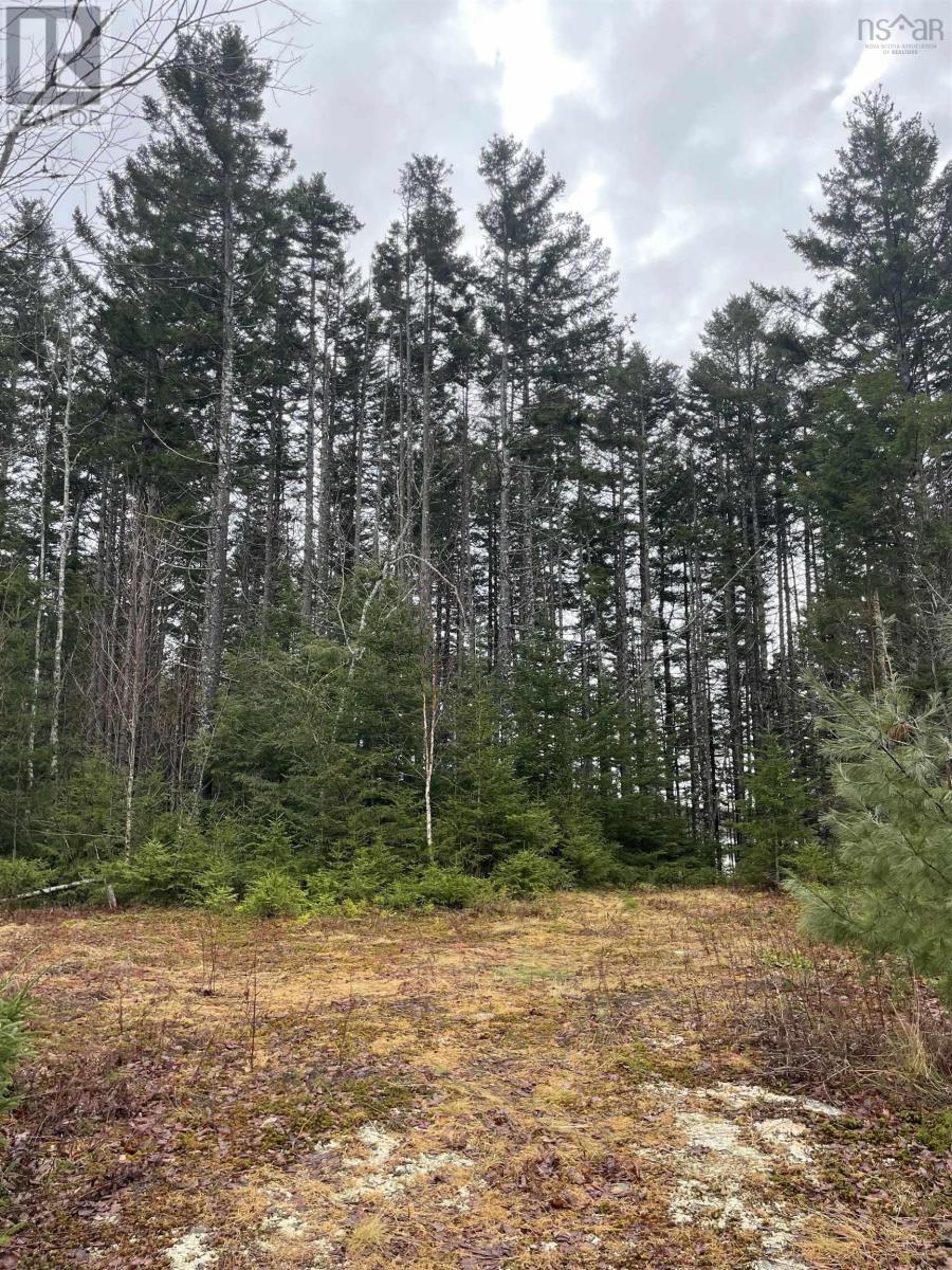 Property 5 of 14 of Sissiboo Road