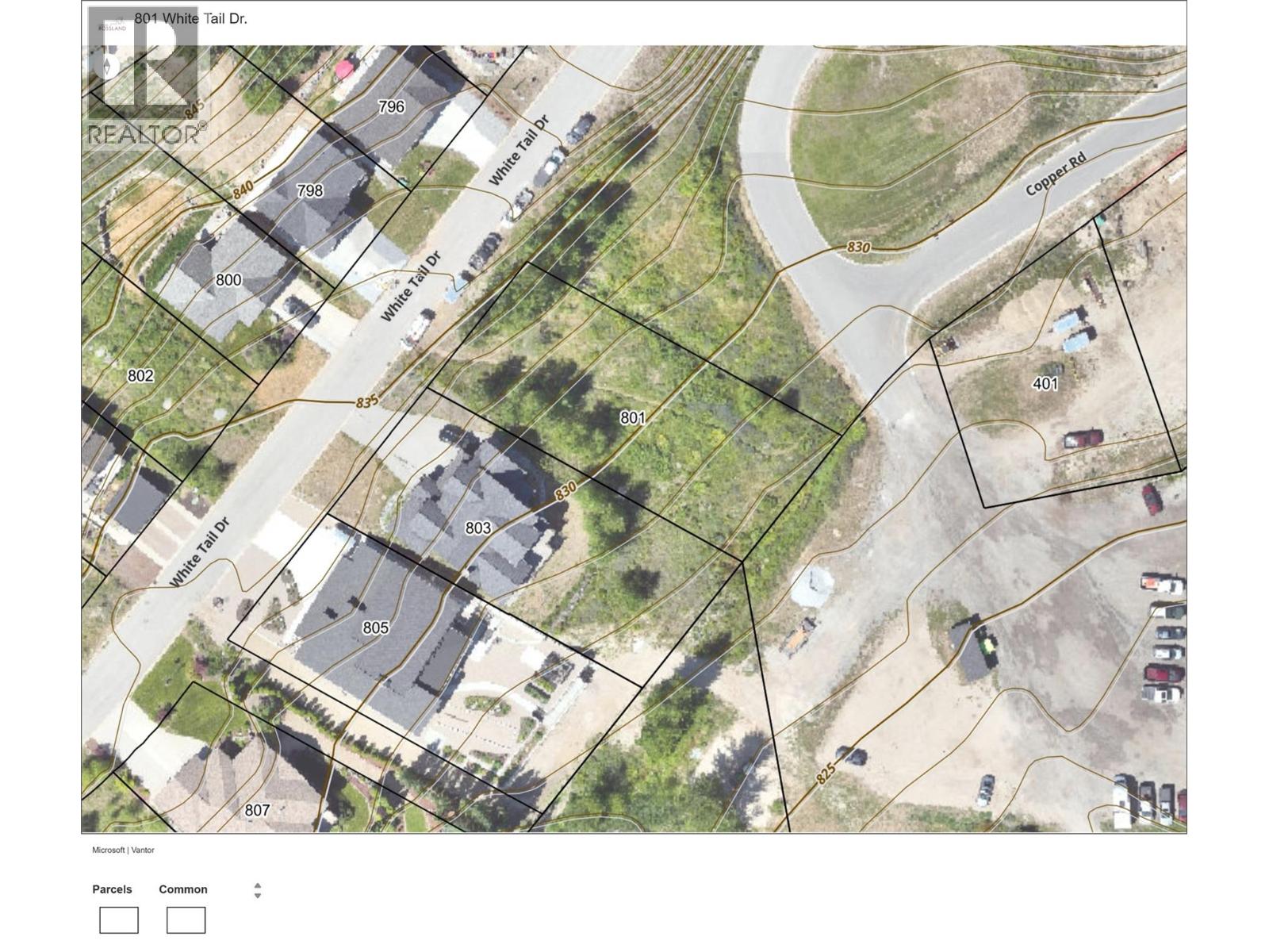 801 WHITE TAIL Drive, Rossland