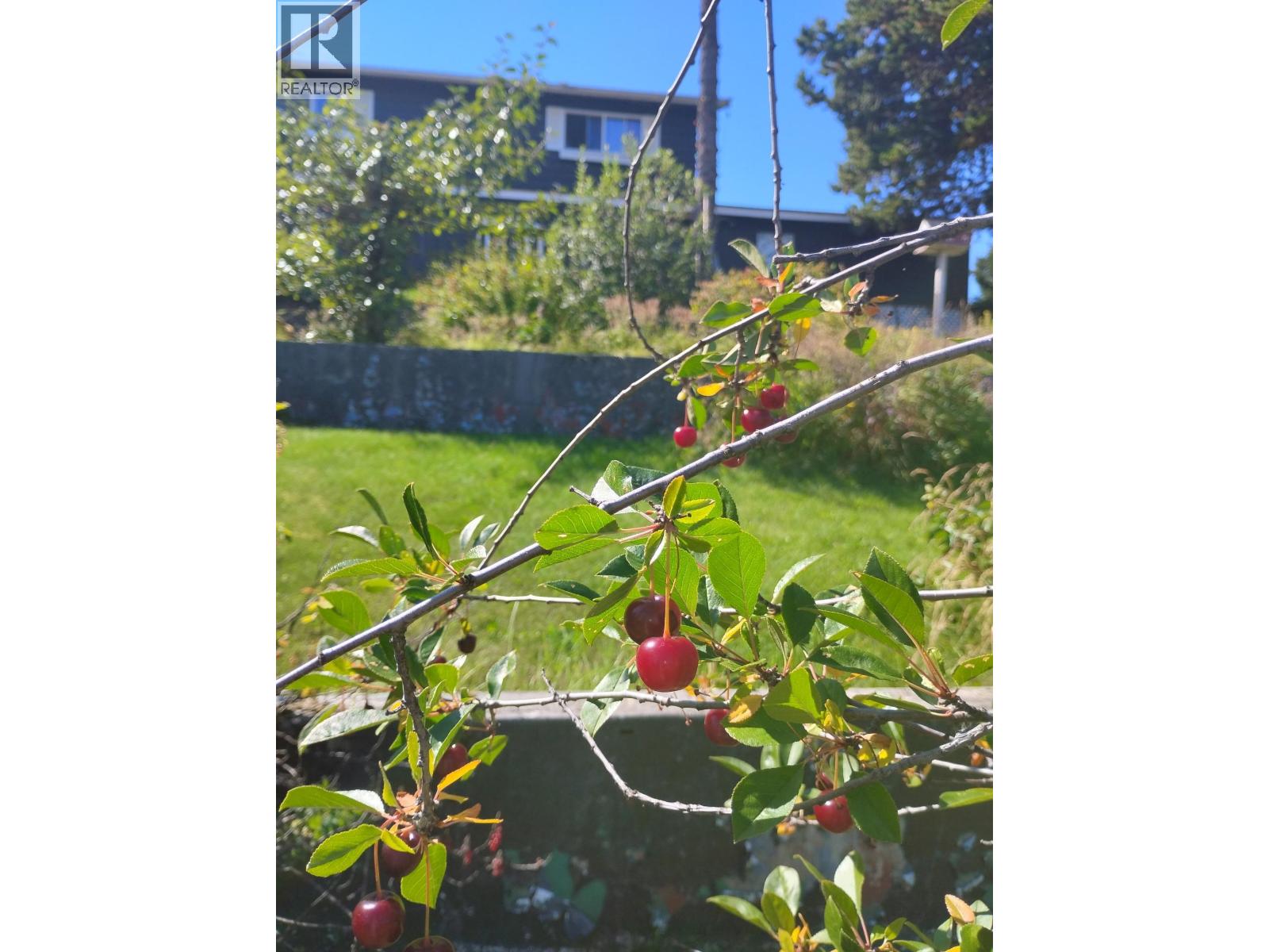 20 REGAN STREET - 15