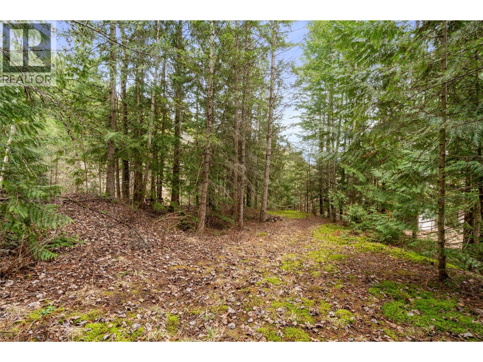 4841 5 Avenue SW, Salmon Arm