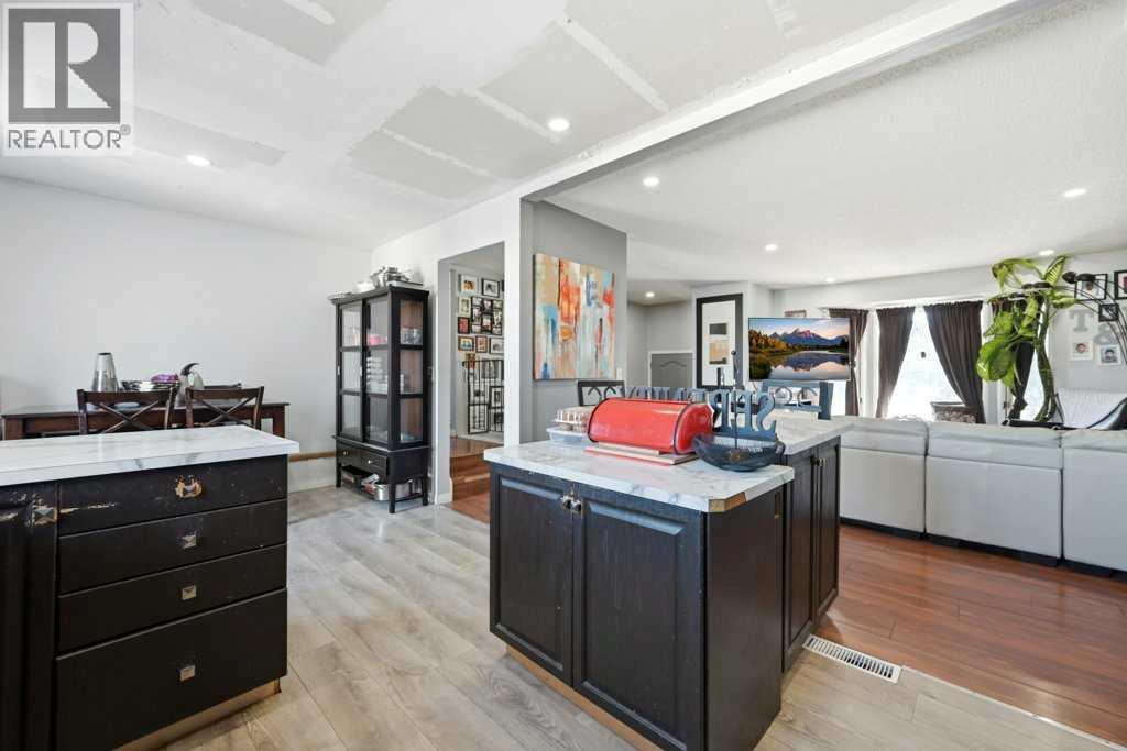 Single Family House Bi-level for Sale in  Castleridge Drive NE Castleridge Calgary 