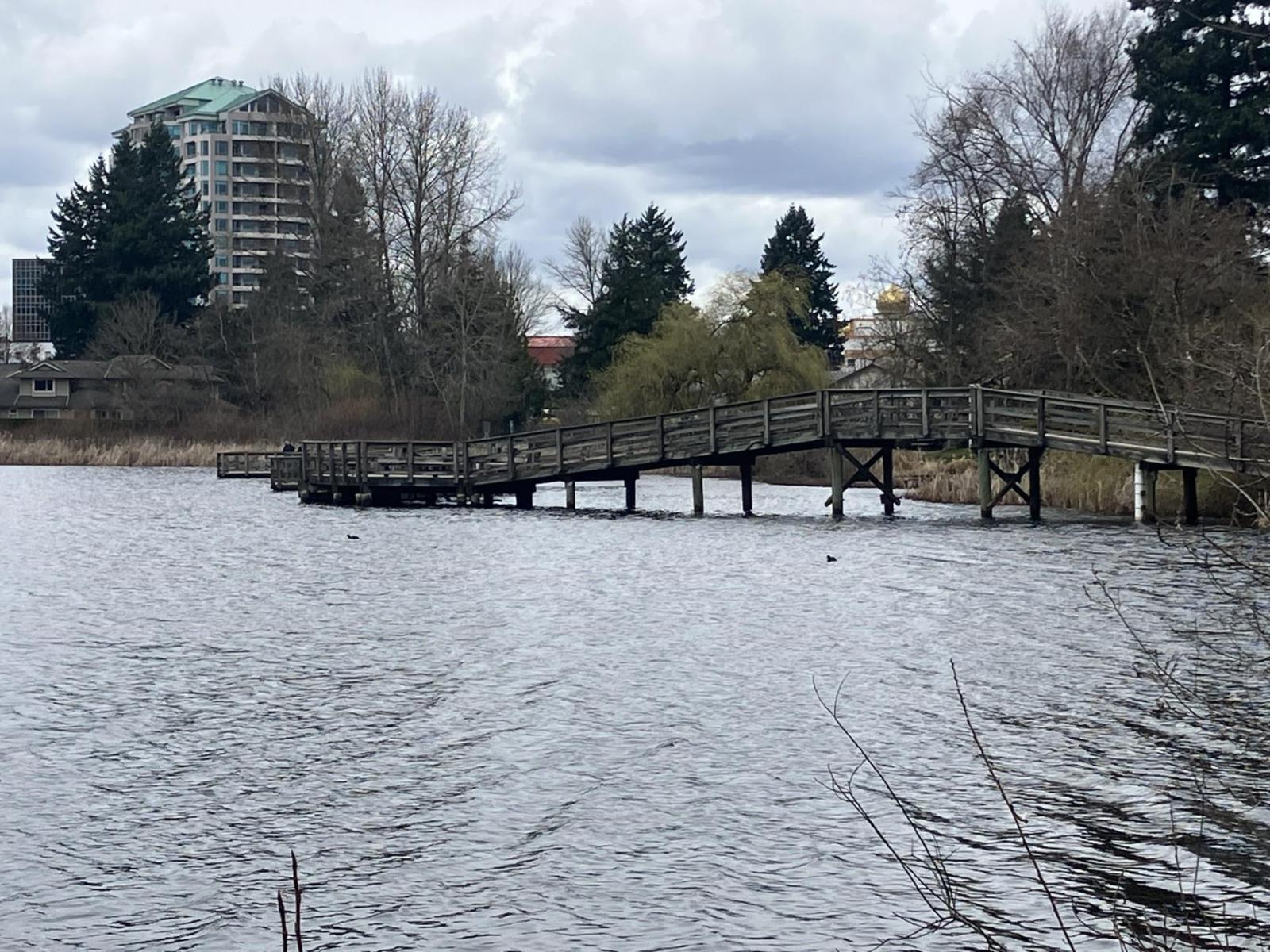 10 2505 WARE STREET, Abbotsford