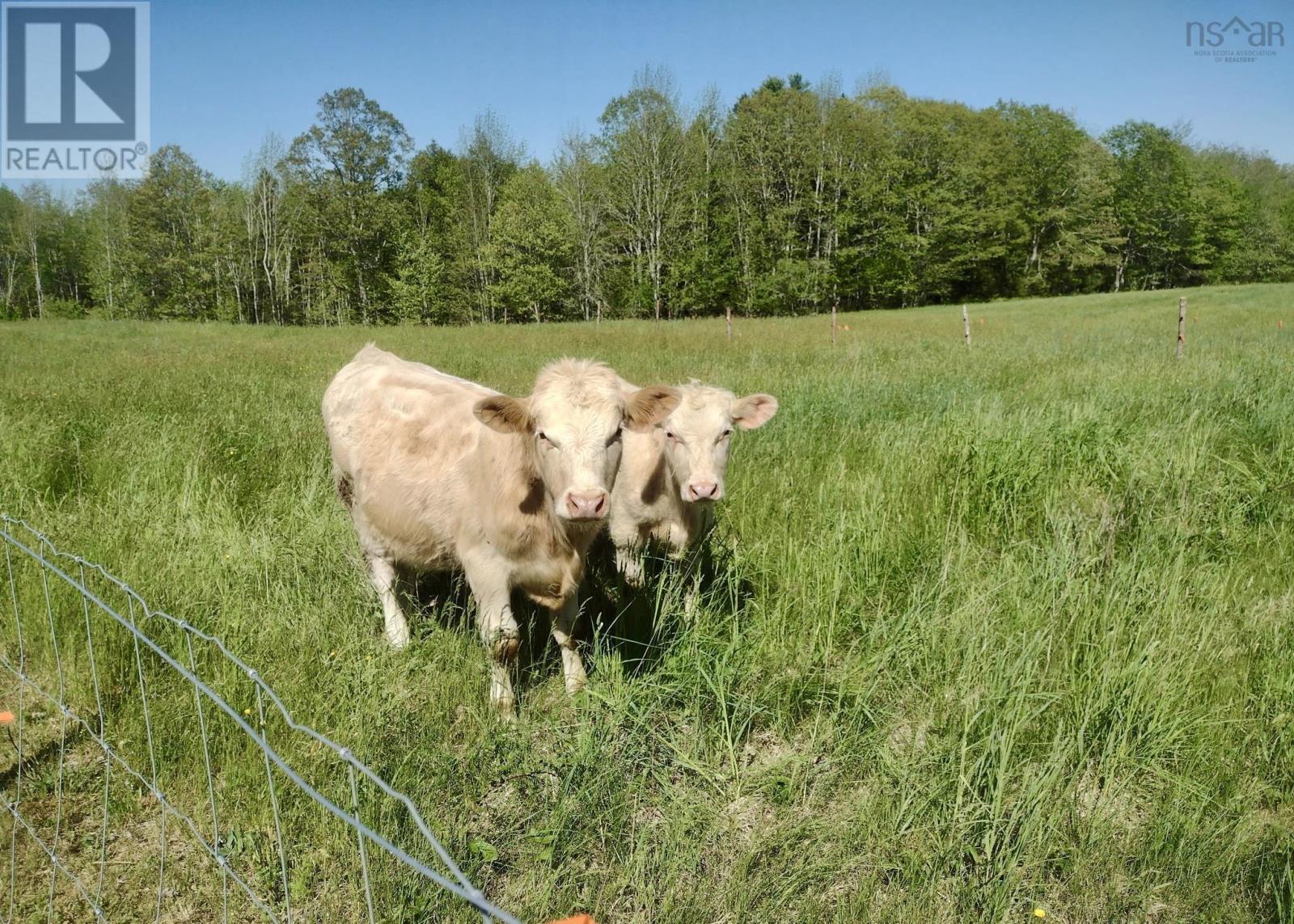 Property 32 of 49 of 218 Garber Road