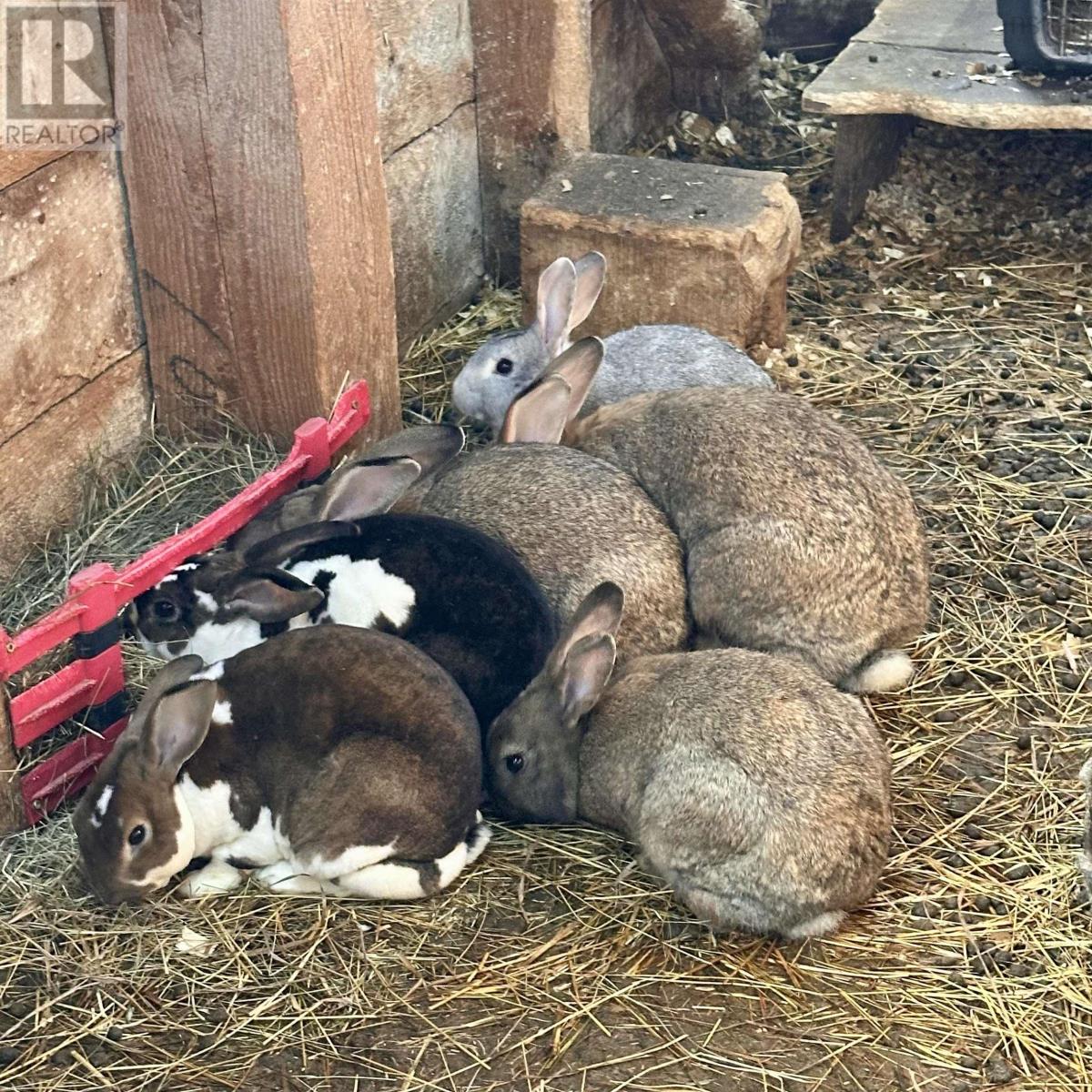 Property 46 of 49 of 218 Garber Road