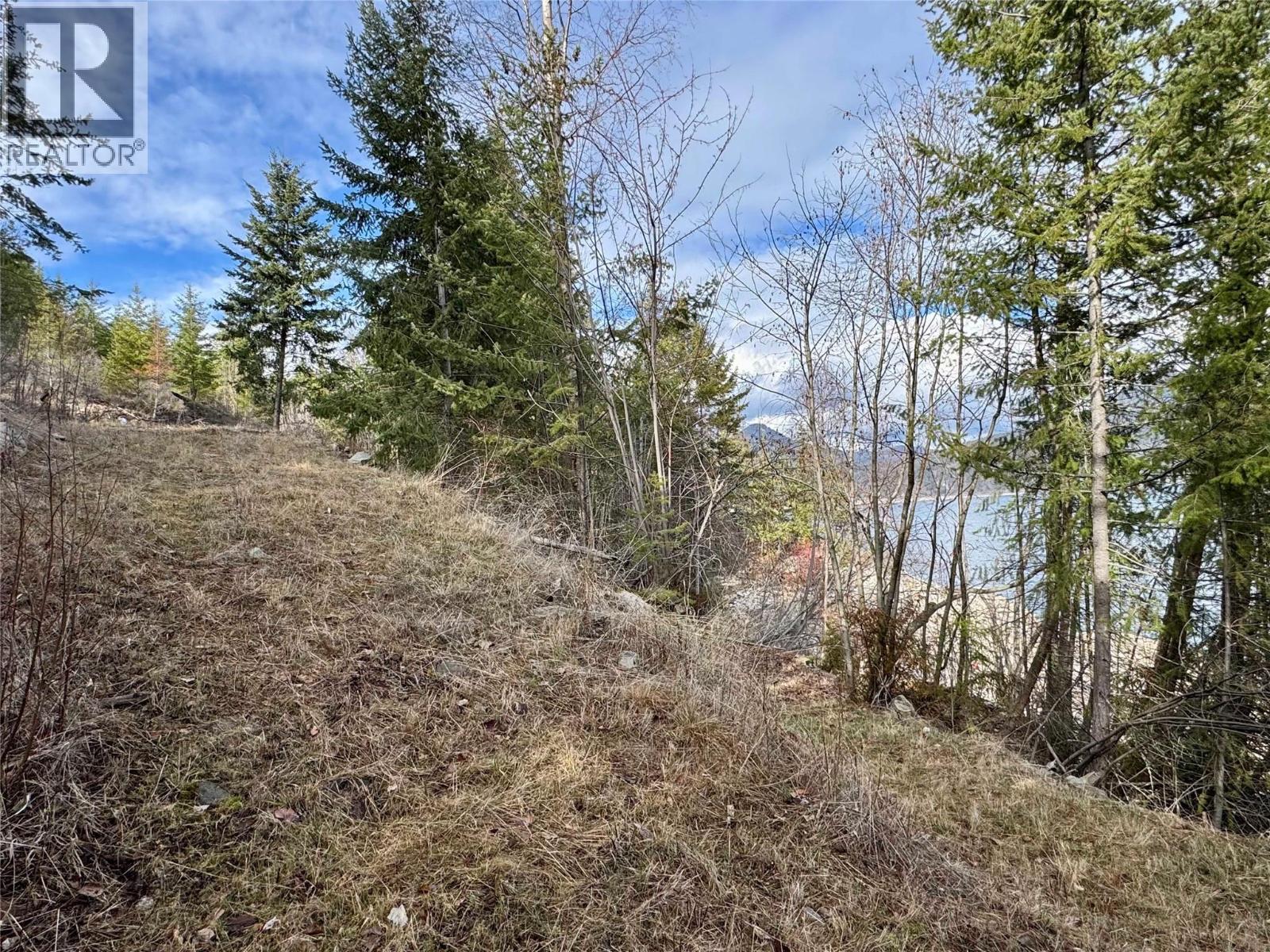 Lot 16 Osprey Point, Arrow Lake