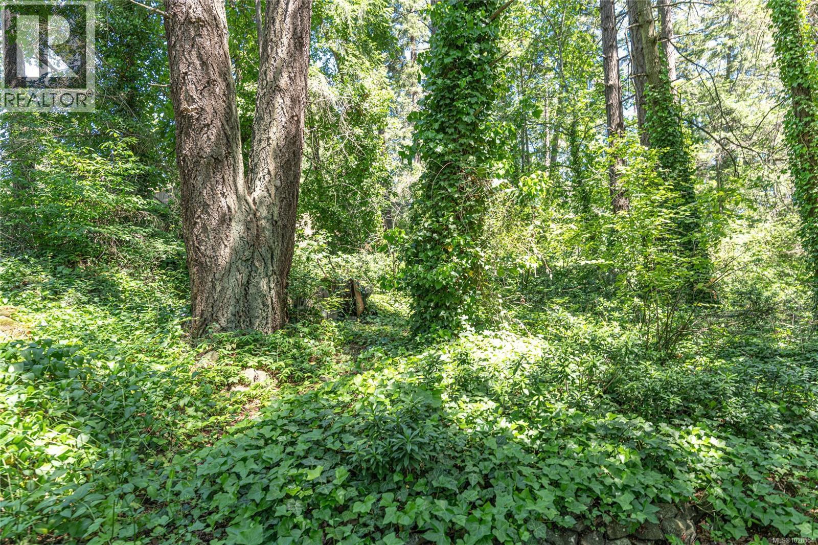 1254 Burnside Rd W - 27