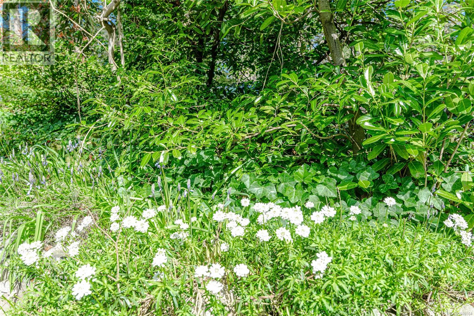 1254 BURNSIDE RD W - 41