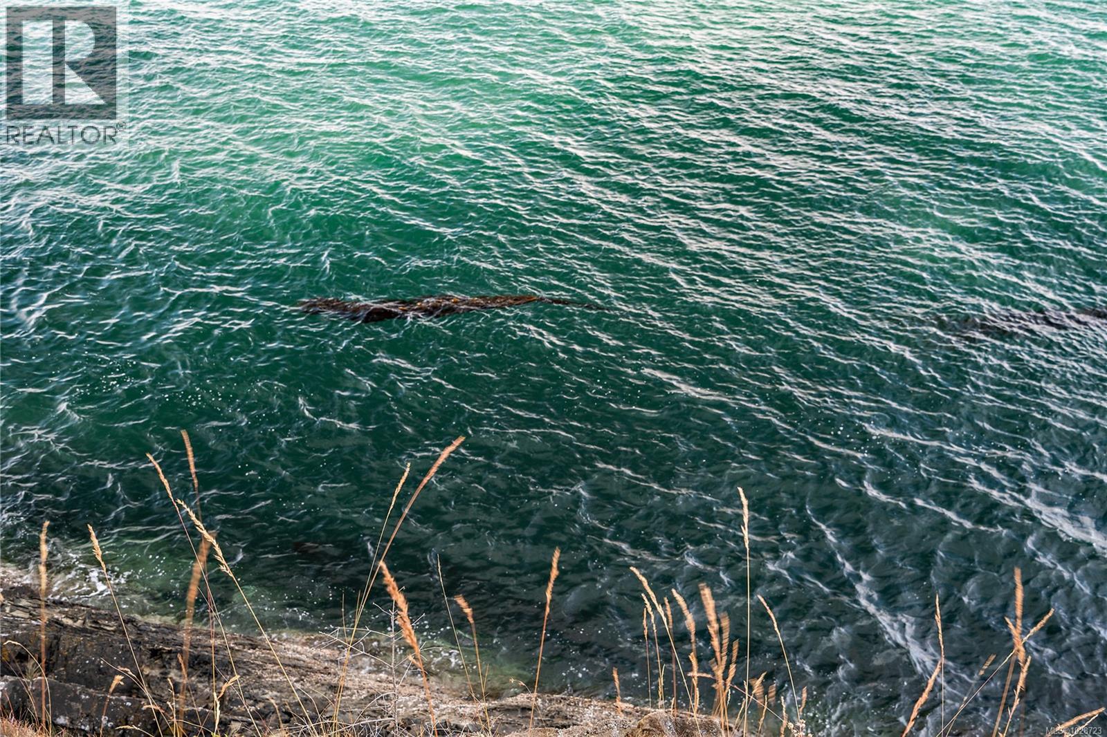  1324 Greenleaf Lane, Sidney Island