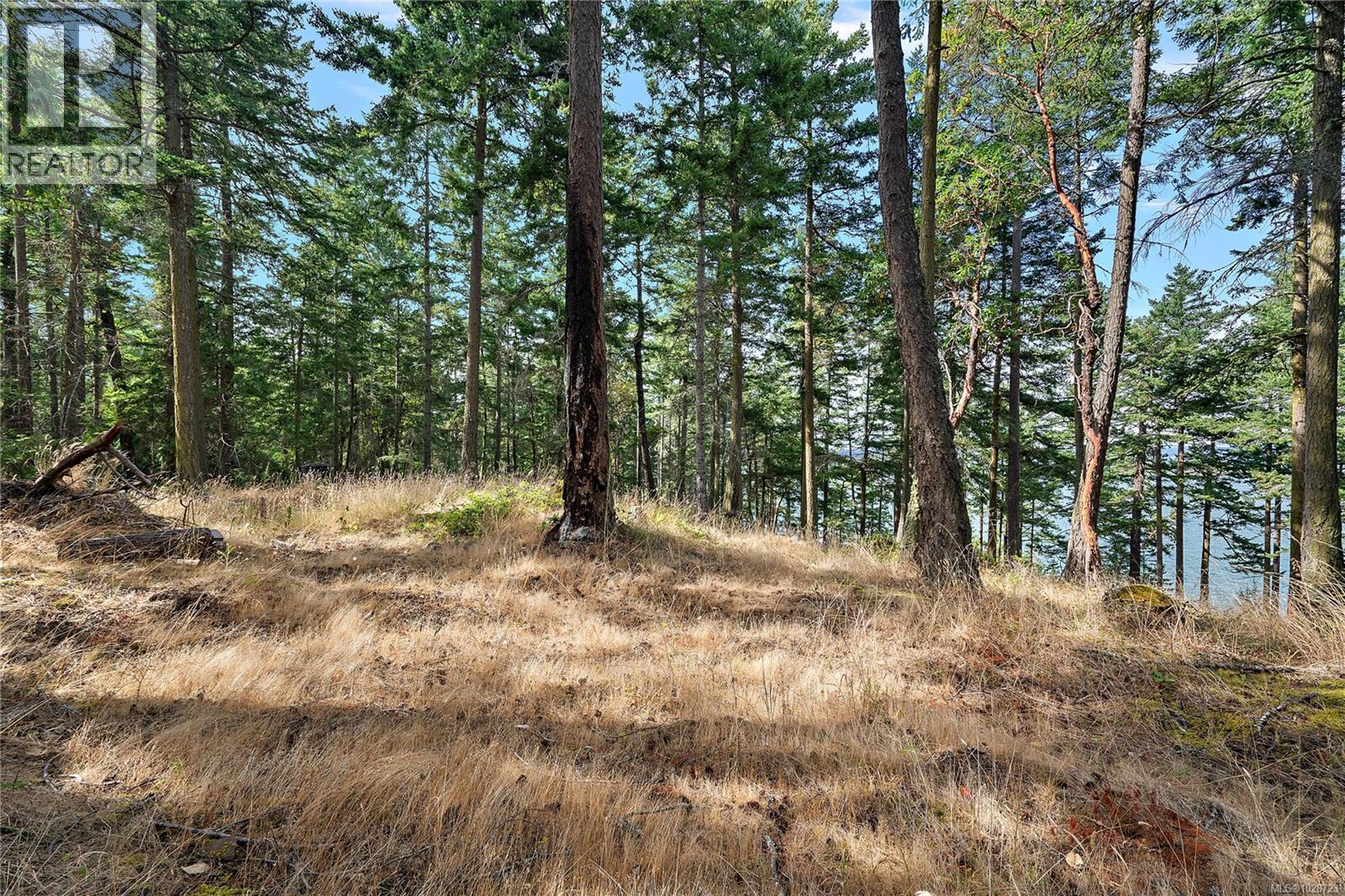  1324 Greenleaf Lane, Sidney Island