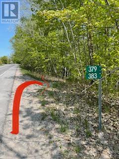 379 CHAMPLAIN ROAD - 19