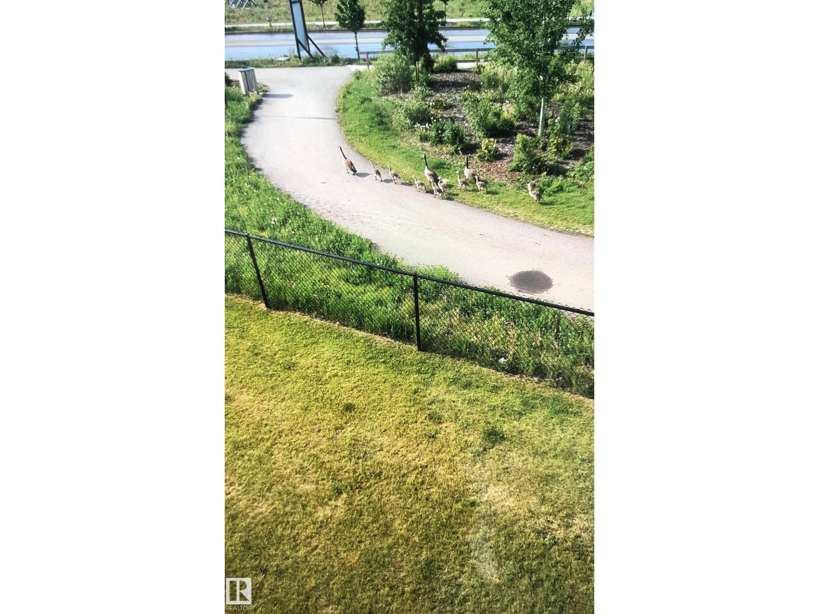 
          20 8050 Orchards GR SW
            <br/>
            <span>Edmonton</span>
            , 
            <span>AB</span>
             <span>T6X2N2</span>
         - Photo 21