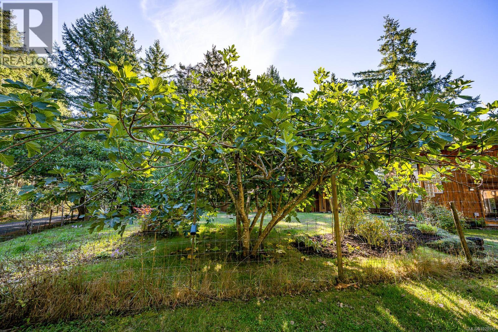6161 Lacon Rd - 34
