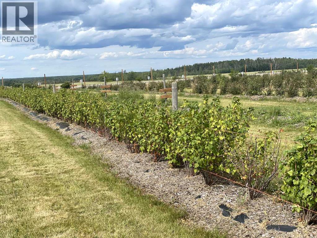 
          22249 TWP RD 704
            <br/>
            <span>Rural Greenview No. 16, M.D. of</span>
            , 
            <span>AB</span>
             <span>T0H0C8</span>
         - Photo 49