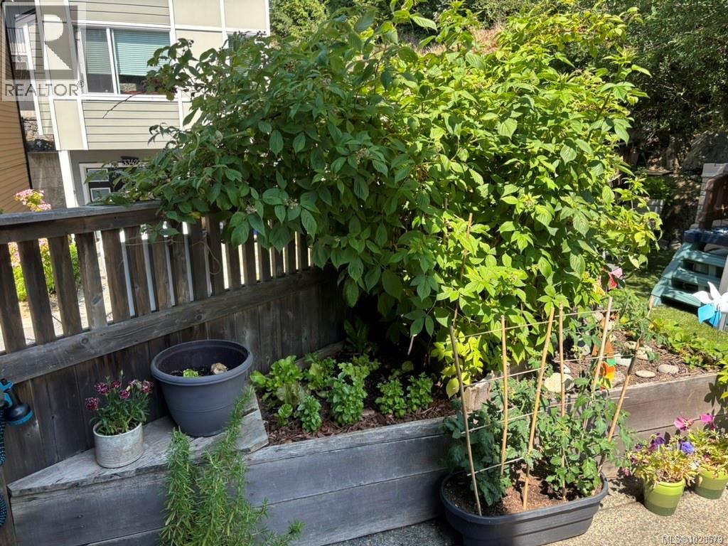  3351 Crossbill Terrace, Langford