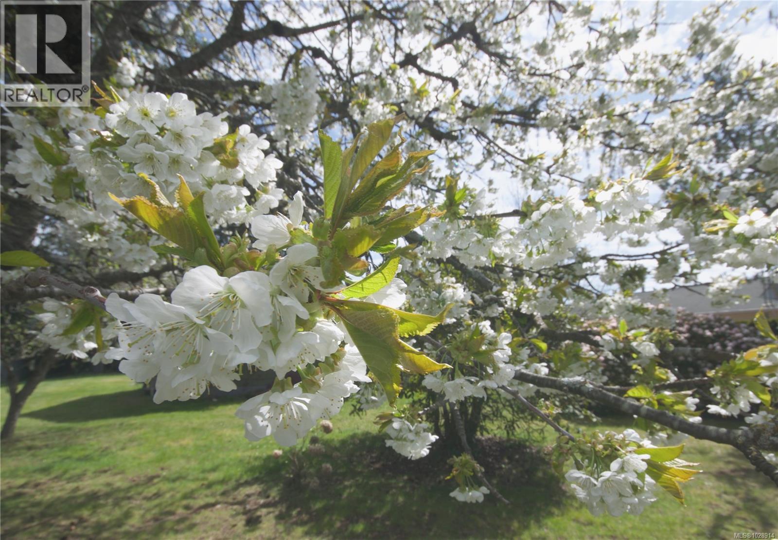 603 Johnstone Rd, Parksville