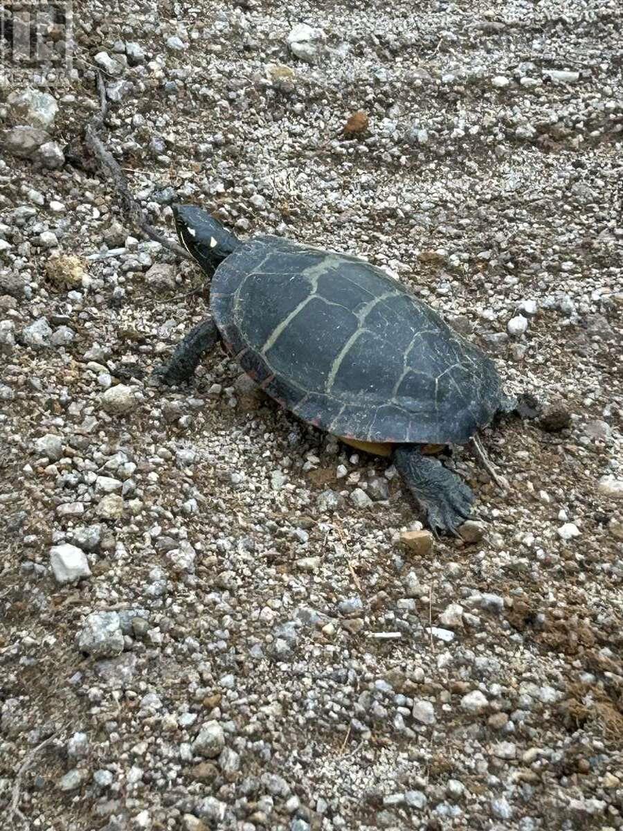 Property 17 of 38 of 11 Lakeshore Drive