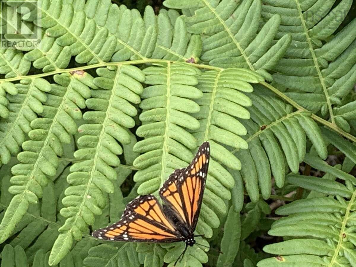 Property 37 of 38 of 11 Lakeshore Drive