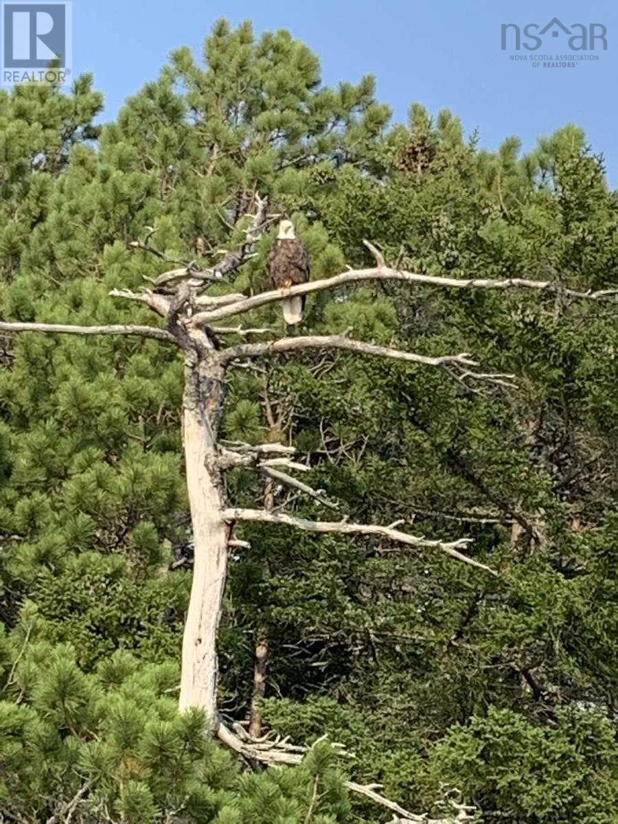 Property 31 of 38 of 11 Lakeshore Drive