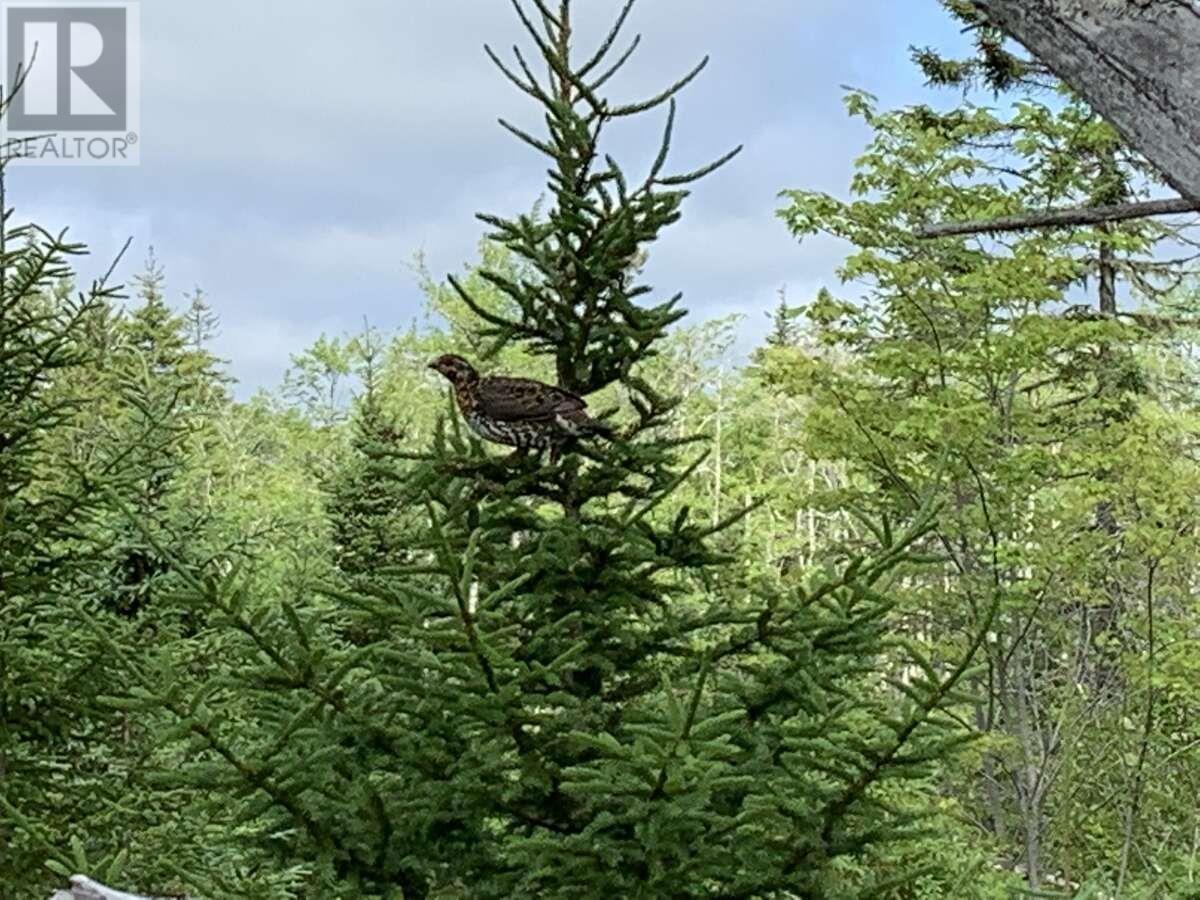 Property 5 of 38 of 11 Lakeshore Drive