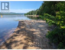 35692 Hwy 17, Laurentian Hills, ON K0J1P0 Photo 15