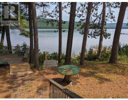Other - 35692 Hwy 17, Laurentian Hills, ON K0J1P0 Photo 9